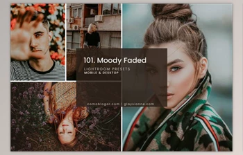 Download 101. Moody <span class='badge badge-warning'>Faded</span> Preset By Advina Store