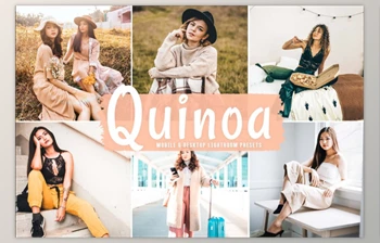 Download Quinoa <span class='badge badge-warning'>Pro</span> Lightroom Presets By Creativetacos