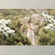 Download Flower Branch Overlays, PNG By Wild Honey Design Co