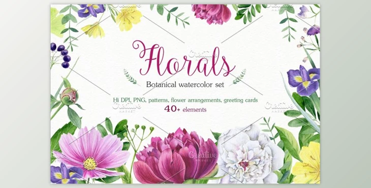 Download Florals watercolor set By Elegantia (PNG, JPEG)