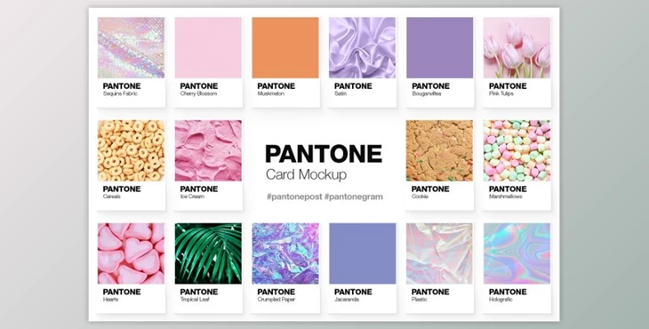 Download Pantone Color Cards Mockup By Pulpixel Design