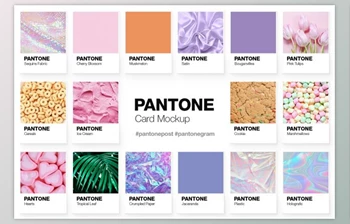 Download Pantone Color Cards Mockup By Pulpixel <span class='badge badge-warning'>Design</span>
