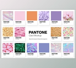 Download Pantone Color Cards Mockup By Pulpixel Design