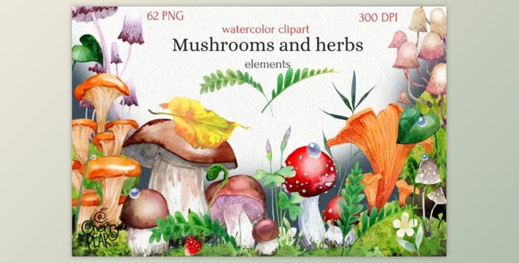 Download Watercolor Cliparts of Mushrooms by CherrypearStudio (PNG)
