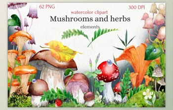 Download <span class='badge badge-warning'>Watercolor</span> Cliparts of Mushrooms by CherrypearStudio (PNG)
