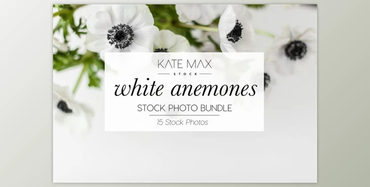 Download White Anemones Stock Photo Bundle By KateMaxStock