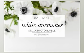 Download White Anemones Stock Photo <span class='badge badge-warning'>Bundle</span> By KateMaxStock