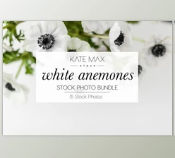 Download White Anemones Stock Photo Bundle By KateMaxStock