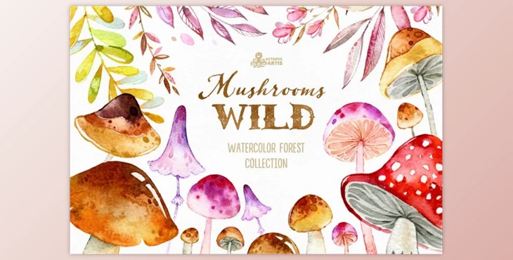 Download Wild Mushrooms. Forest Collection By OctopusArtis