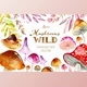 Download Wild Mushrooms. Forest Collection By OctopusArtis