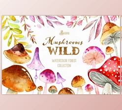 Download Wild Mushrooms. Forest Collection By OctopusArtis