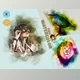 Download Pro Watercolor Paint By MRI STUDIO