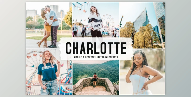 Download Charlotte Pro Lightroom Presets By Creativetacos