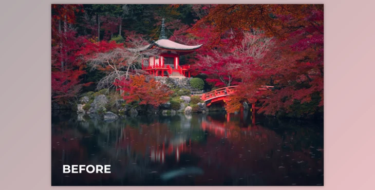 Download Color Grade Presets by Daniel Kordan Photography (XMP)