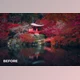 Download Color Grade Presets by Daniel Kordan Photography (XMP)