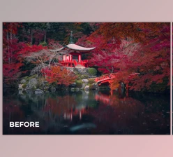 Download Color Grade Presets by Daniel Kordan Photography (XMP)