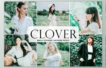 Download Clover <span class='badge badge-warning'>Pro</span> Lightroom Presets By Creativetacos