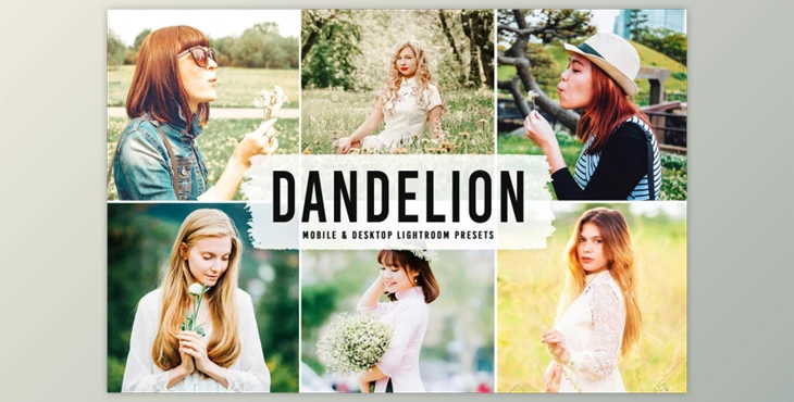 Download Dandelion Pro Lightroom Presets By Creativetacos
