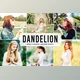 Download Dandelion Pro Lightroom Presets By Creativetacos