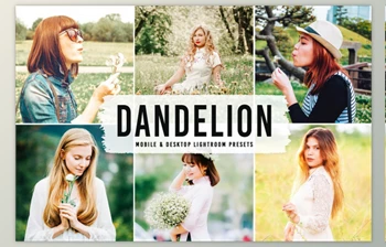 Download Dandelion <span class='badge badge-warning'>Pro</span> Lightroom Presets By Creativetacos