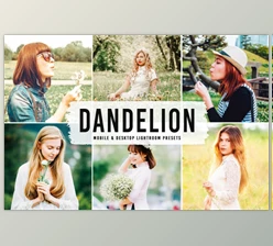 Download Dandelion Pro Lightroom Presets By Creativetacos