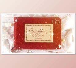 Download Wedding Day Album Opener (Videohive 33121746) - AE Project