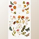 Download Flowers and Butterflies – Clipart By Singerie (PNG)