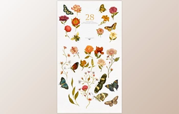 Download Flowers and Butterflies – Clipart By Singerie (<span class='badge badge-warning'>PNG</span>)