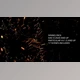 Download Trapcode Particular - Sparks (Videohive 33219531) - AE Project