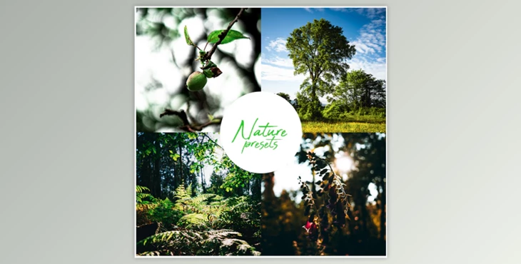 Download Professional Nature Lightroom Preset (Mobile & Desktop) By Rtvrecord