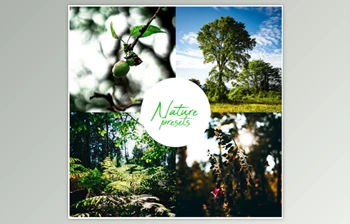 Download Professional <span class='badge badge-warning'>Nature</span> Lightroom <span class='badge badge-warning'>Preset</span> (Mobile & Desktop) By Rtvrecord