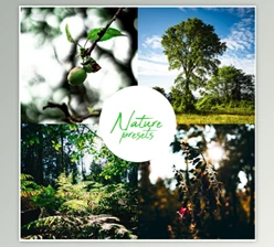Download Professional Nature Lightroom Preset (Mobile & Desktop) By Rtvrecord