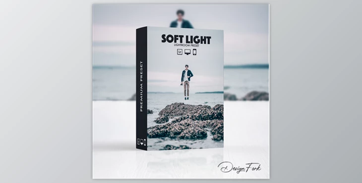 Download Soft Light Lightroom Preset By DesignFork