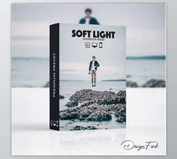 Download Soft Light Lightroom Preset By DesignFork