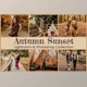 Download Autumn Sunset Mobile Lightroom Presets Photoshop Editing by 3motional