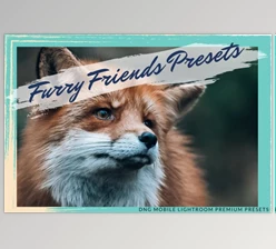 Download FURRY FRIENDS MOBILE PRESET By Fltrr Lightroom Presets