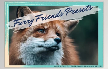 Download FURRY FRIENDS <span class='badge badge-warning'>MOBILE</span> PRESET By <span class='badge badge-warning'>Fltrr</span> <span class='badge badge-warning'>Lightroom</span> <span class='badge badge-warning'>Presets</span>