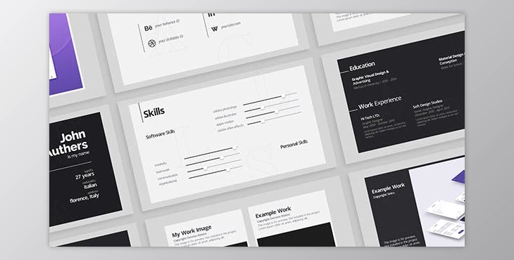 Download Portfolio - Resume (Videohive 21411876) - AE Project
