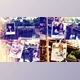 Download Photo Gallery On The Afternoon (Videohive 19647251) - AE Project