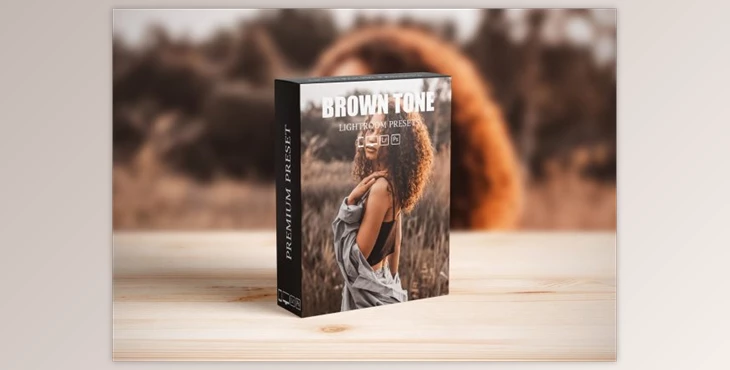 Download Moody Brown Lightroom Presets By AAA Presets