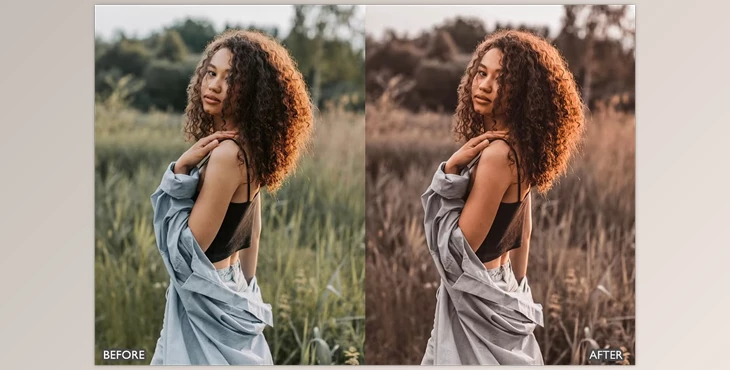 Download Moody Brown Lightroom Presets By AAA Presets