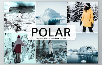 Download Polar <span class='badge badge-warning'>Pro</span> Lightroom Presets By Creativetacos