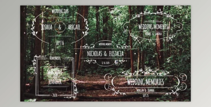 Download Lovely Titles V2 (Videohive 33222428) - PR Project