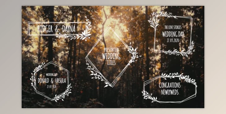 Download Wedding Titles (Videohive 33221968) - PR Project