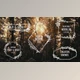 Download Wedding Titles (Videohive 33221968) - PR Project