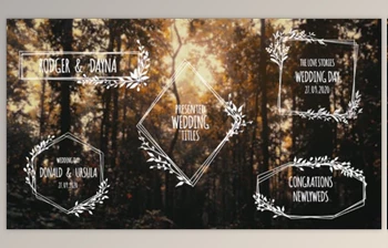 Download Wedding Titles (<span class='badge badge-warning'>Videohive</span> 33221968) - PR <span class='badge badge-warning'>Project</span>