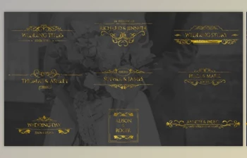Download Gold Wedding Titles (<span class='badge badge-warning'>Videohive</span> 33220882) - PR <span class='badge badge-warning'>Project</span>