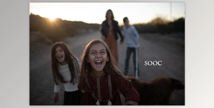 Download Be Bold Presets by Twig & Olive (LRTemplate)