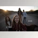 Download Be Bold Presets by Twig & Olive (LRTemplate)
