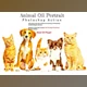 Download Animal Oil Portrait PS Action By Studio Retouch